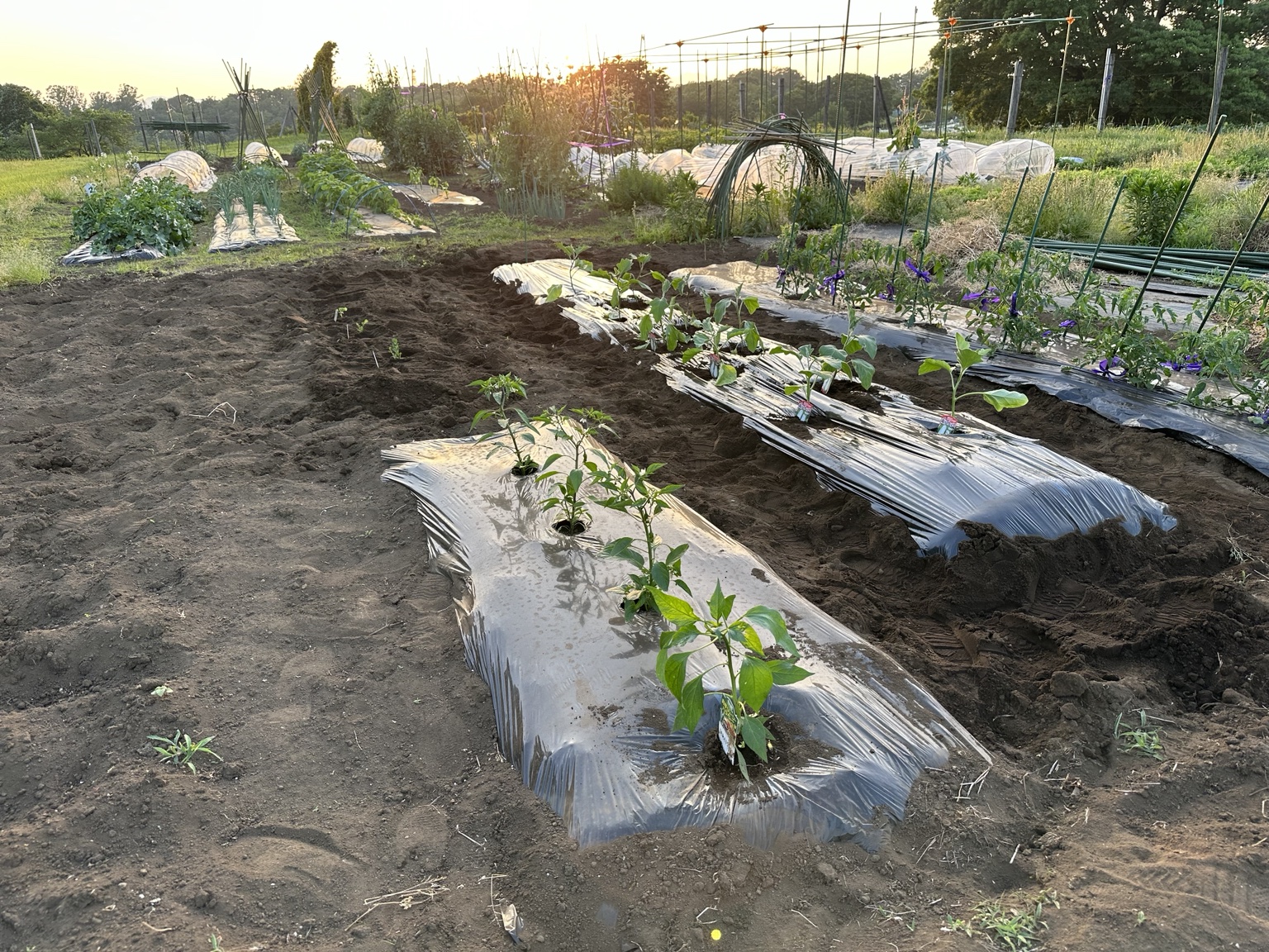 農業塾のFIELD画像
